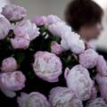 20090529_MG_2124.jpg